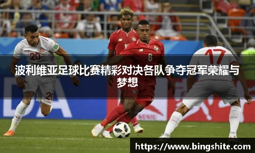 波利维亚足球比赛精彩对决各队争夺冠军荣耀与梦想