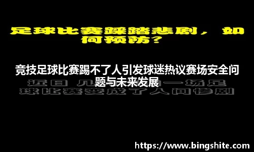 竞技足球比赛踢不了人引发球迷热议赛场安全问题与未来发展